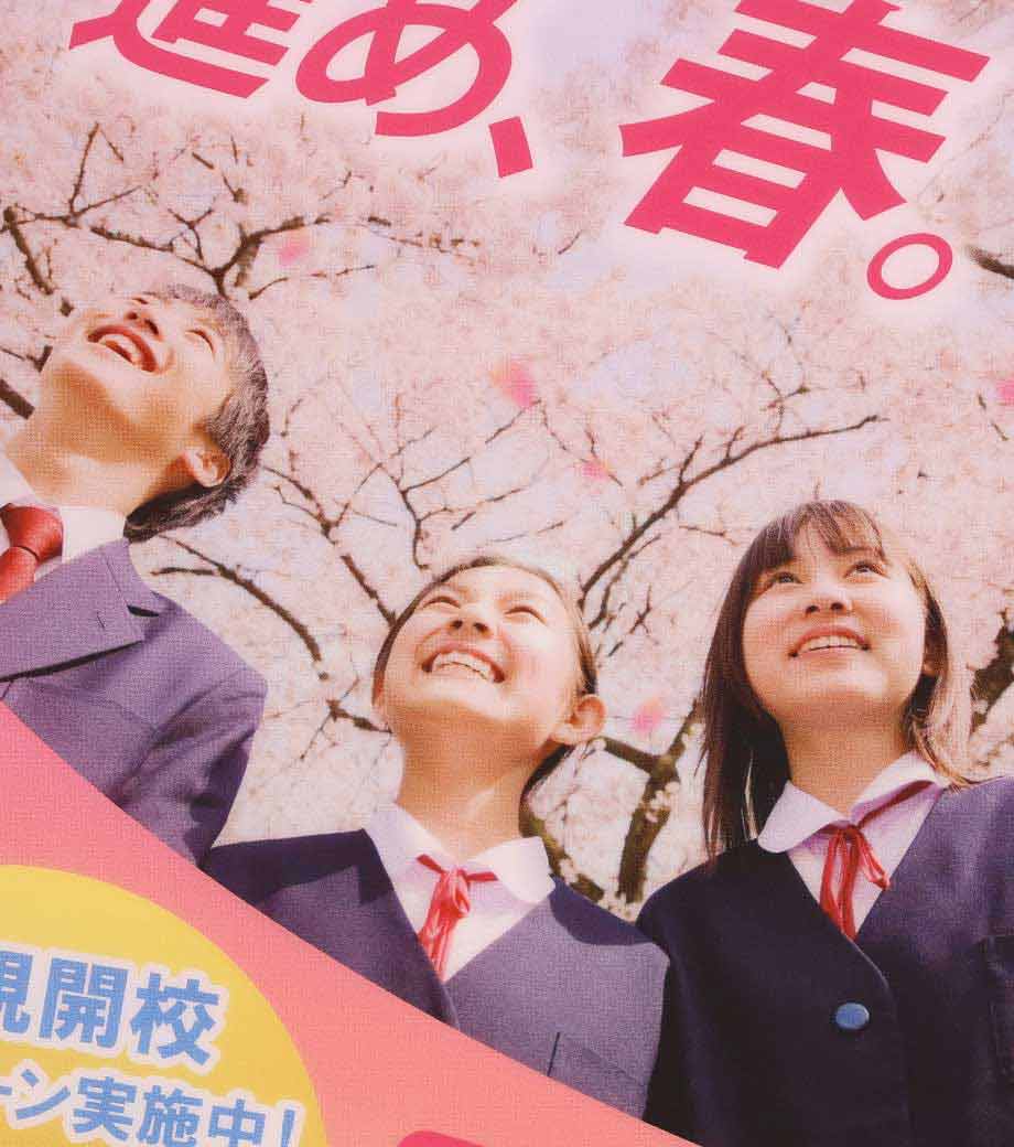オリジナルクリアファイル A5 スタンダード【フルカラー】の画像4枚目